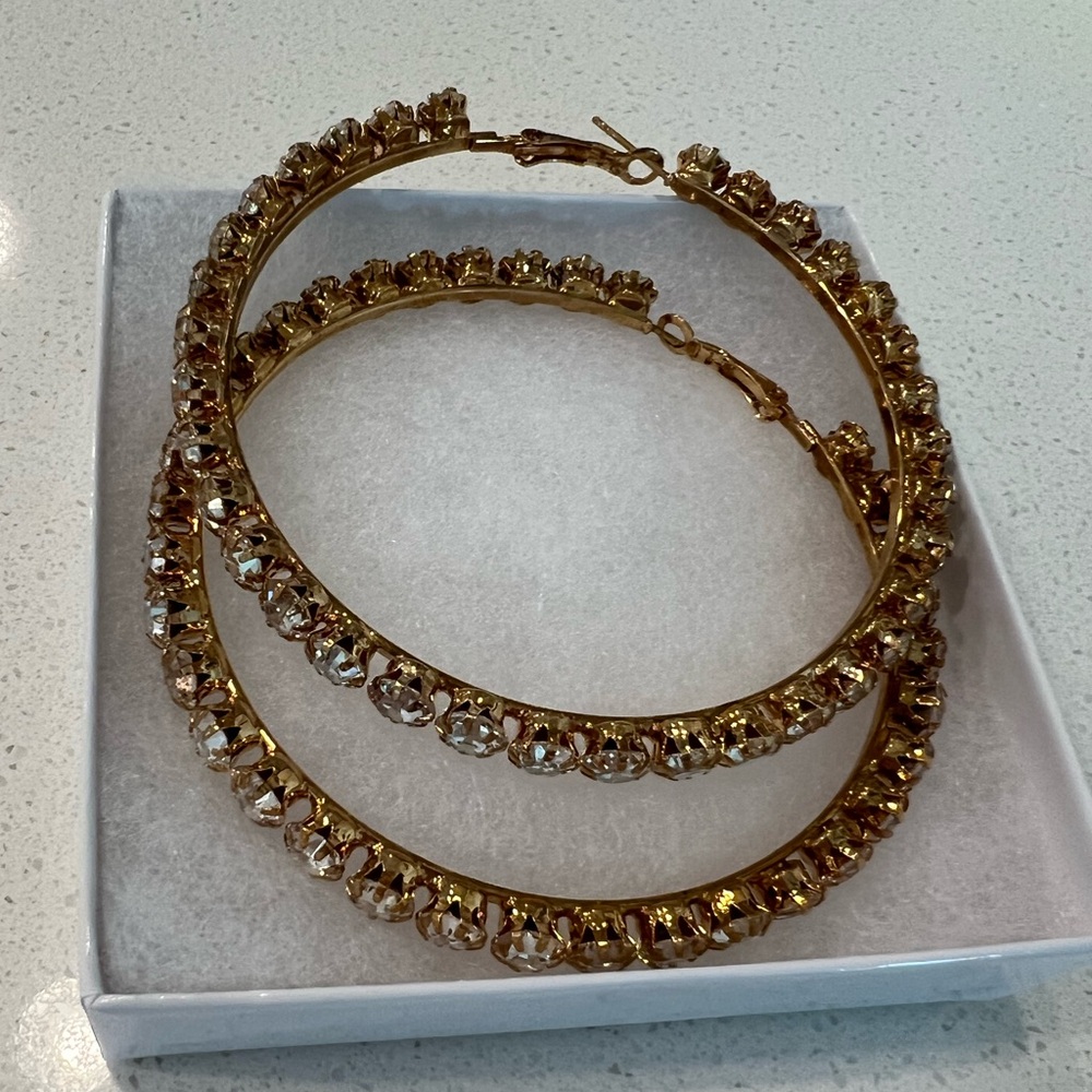Hoop Earrings / Bracelet